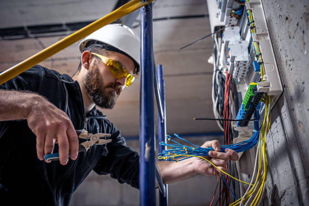Best Electric Panel Repair  in Nora Springs, IA